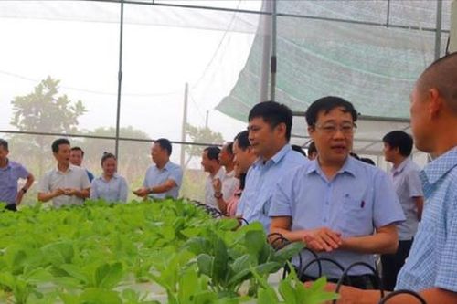 Sóc Sơn có thêm 6 xã đủ điều kiện công nhận đạt nông thôn mới kiểu mẫu