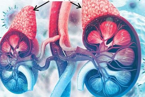 Thuốc nào trị suy tuyến thượng thận?