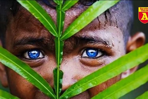 Bộ tộc 'mắt biếc' kỳ lạ ở Indonesia