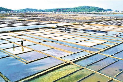 Khách về đồng muối Sa Huỳnh