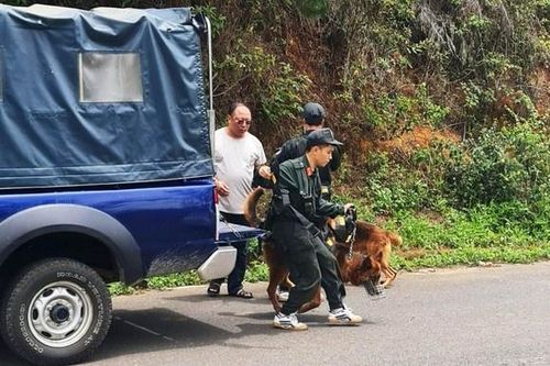 Rà soát các nhà trọ tìm danh tính người tử vong bất thường ở Đà Lạt
