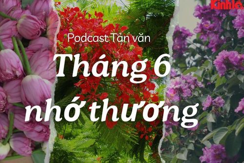 Tháng 6 nhớ thương