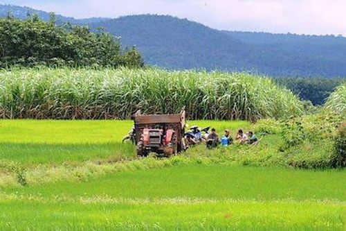 Quy định về tách thửa, hợp thửa đất