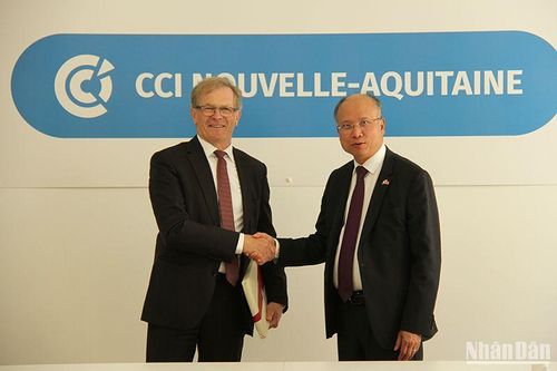 Thúc đẩy hợp tác nhiều mặt với vùng Nouvelle Aquitaine (Pháp)