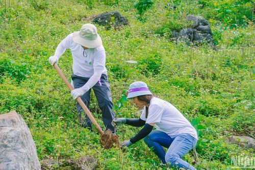 Chung tay hành động để 'Rừng xanh lên'