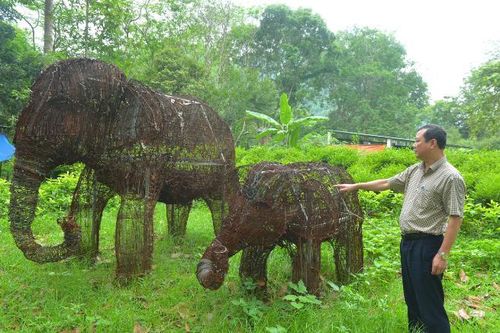 Cặp voi được làm từ 15.000 chiếc bẫy thú giữa rừng Pù Mát