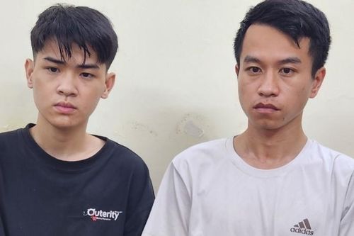 Bắt 2 kẻ gây ra hàng loạt vụ cướp giật tài sản liên tỉnh