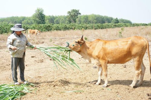 Viết đơn xin thoát nghèo để tạo động lực vươn lên trong cuộc sống