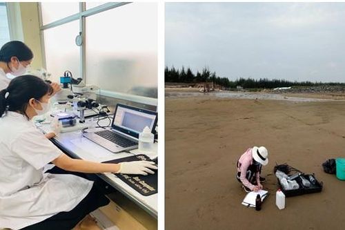 Quy trình giám sát rác thải nhựa trên bãi biển