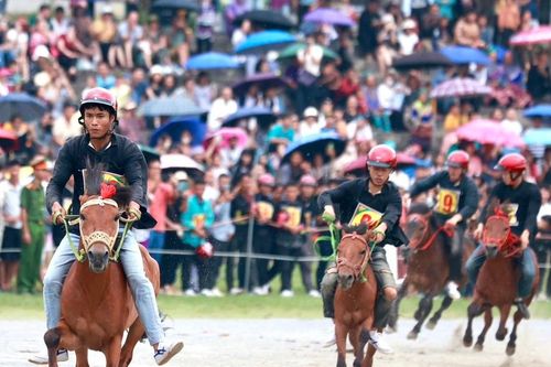 Sôi nổi Giải đua ngựa truyền thống huyện Bắc Hà mở rộng lần thứ 17