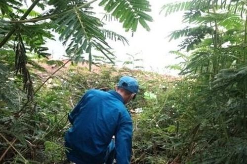 Bản tin 8H: Sau phát hiện chân người, tìm thấy thi thể nữ giới ở hồ Tuyền Lâm