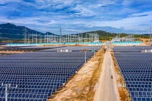 Lý do Chủ tịch Trung Nam Group được gỡ lệnh cấm xuất cảnh
