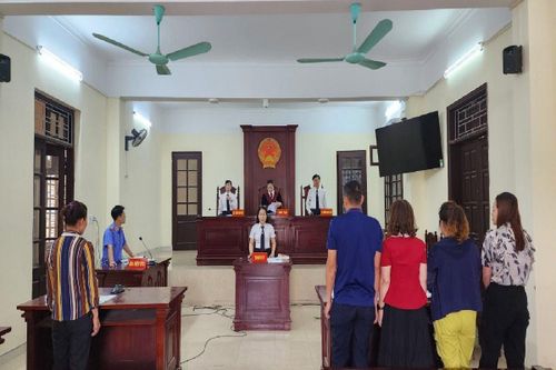 Xét xử vụ án vay tài sản theo hình thức góp họ