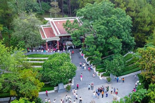 Bà Hoàng Thị Loan - Người mẹ vĩ đại của Chủ tịch Hồ Chí Minh