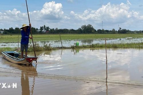 Đồng Tháp Mười 'thay da đổi thịt' sau gần 50 năm ngày miền Nam giải phóng