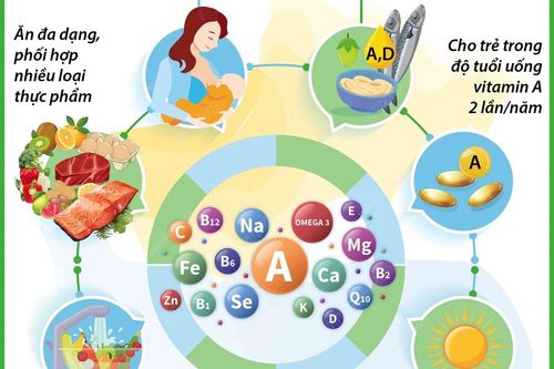Vi chất dinh dưỡng rất cần thiết cho quá trình tăng trưởng, phát triển