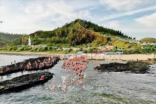 600 vận động viên tranh tài Giải bơi vượt biển Lý Sơn Cross Island 2024