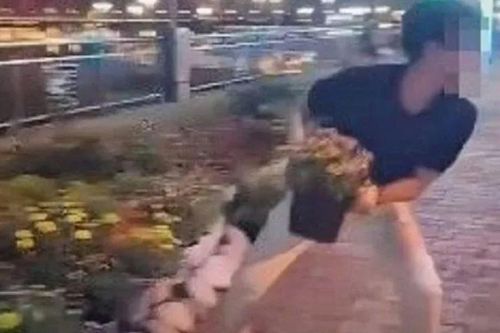 Đà Nẵng: Dựng cảnh trộm cây ở phố đi bộ đăng lên tiktok kiếm view