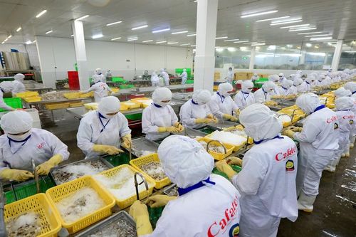 Động lực thúc đẩy quan hệ hợp tác giữa Việt Nam với khu vực Đông Bắc Á