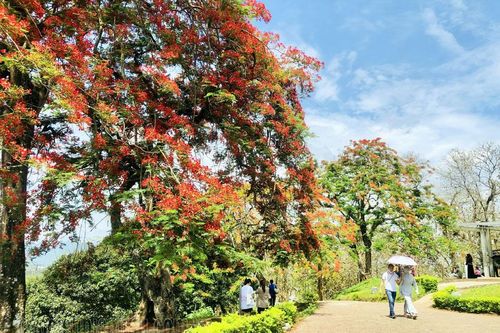 Tận dụng cơ hội để bứt phá