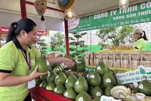 Đặc sản Đồng Nai tham gia Lễ hội Trái cây Nam Bộ 2024