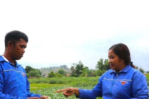 Kông Chro: Hỗ trợ thanh niên nghèo phát triển kinh tế