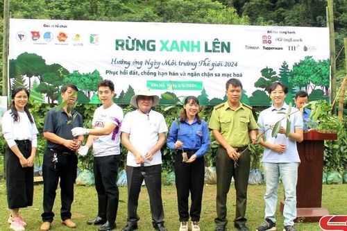 Chương trình 'Rừng xanh lên' ở huyện Vân Hồ