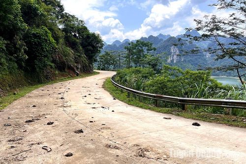 Phân trâu thải bừa bãi tại điểm du lịch