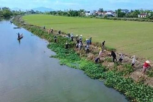 Ra quân hưởng ứng Tháng hành động về môi trường