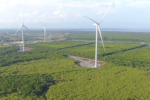 Công ty FECON (FCN) tìm đối tác ngoại cho 'siêu' dự án điện gió quy mô 1,2 tỷ USD