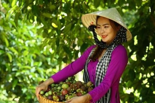 Bình Dương sắp diễn ra lễ hội trái cây chín năm 2024