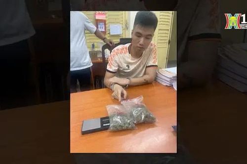 Nam thanh niên gọi xe công nghệ giao cần sa cho khách