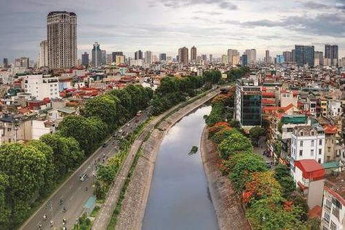 Bài tham dự Cuộc thi viết 'Kỷ niệm 70 năm Giải phóng Thủ đô: Ký ức tự hào': Để Hà Nội mãi xanh