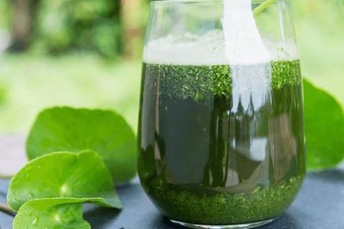 Những ai không nên ăn nhiều rau má?