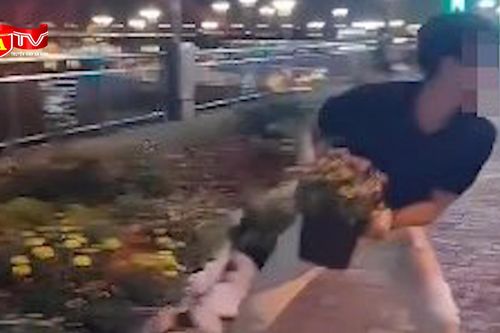 Dàn dựng clip trộm cây cảnh để 'câu view', nam thanh niên bị công an mời lên làm việc