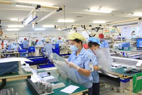 Trong tháng 5, số DN thành lập mới và quay trở lại hoạt động gấp 1,7 lần số DN rút lui khỏi thị trường