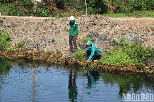 Cần xử lý nghiêm doanh nghiệp xả nước thải gây ô nhiễm nguồn nước ngọt ở Long An