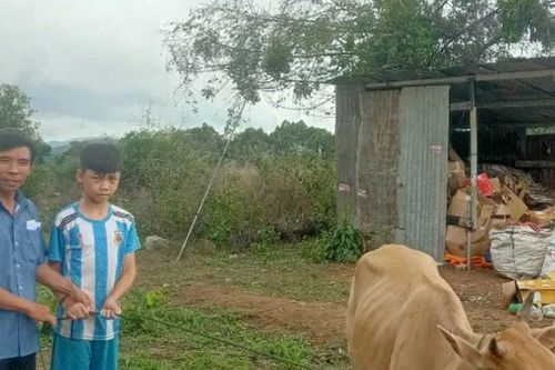 Mua bò từ tiền hỗ trợ của bạn đọc Báo SGGP