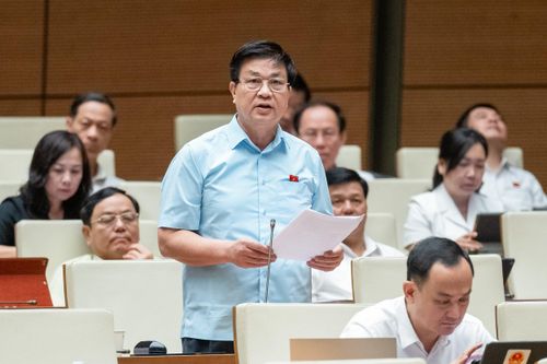ĐBQH tán thành bổ sung dao có tính sát thương cao vào nhóm vũ khí thô sơ