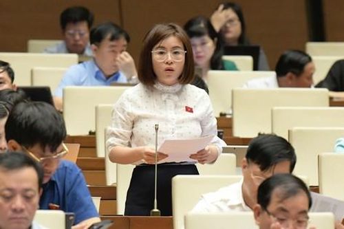 Đại biểu Quốc hội nêu lý do đề nghị bổ sung dao có tính sát thương cao là vũ khí thô sơ