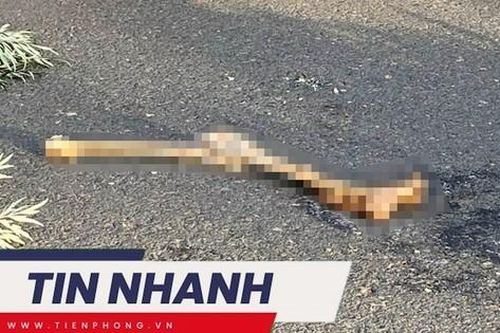 TIN NHANH: Công bố nhận dạng tử thi có chân bị tách rời ở Đà Lạt; Mua vàng bình ổn giá cần chuẩn bị gì?