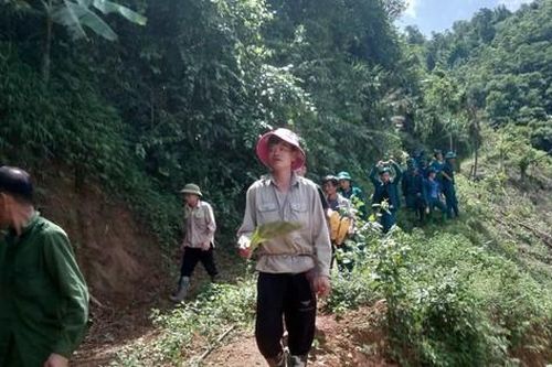 Người phụ nữ mất tích khi vào rừng hái măng