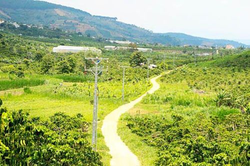 Một Phó giám đốc bị kiến nghị xử lý vì kê khai tài sản không trung thực