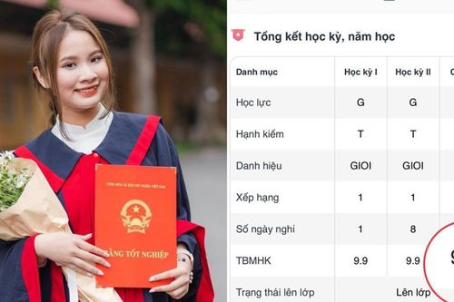 Nữ sinh Hà Nội gây sốt với điểm trung bình học tập cả năm 9.9