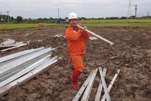 Thợ điện Thủ đô tình nguyện tiếp sức cho dự án đường dây 500kV mạch 3 về đích
