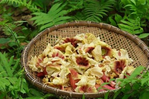 Đặc sản xưa rụng đầy không ai biết đến, giờ làm thành ngon khó cưỡng, dân thành phố 'ưa chuộng'