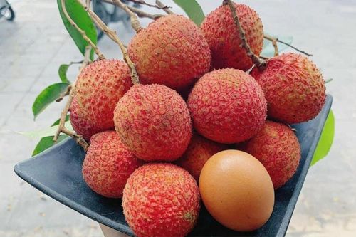 Loại vải đặc sản chỉ có ở Hưng Yên, 180.000 đồng/kg