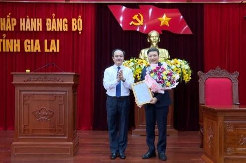 Điều động, bổ nhiệm nhiều nhân sự ở Bộ Nội vụ, Hà Nội, TP. Hồ Chí Minh