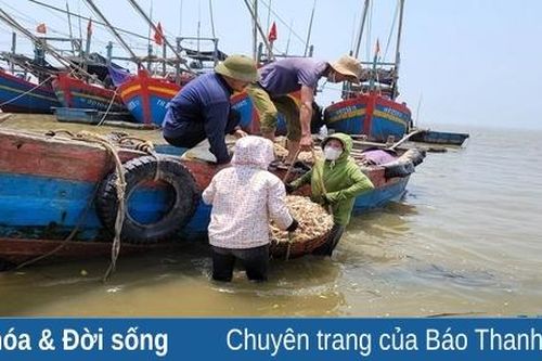 Người dân vùng biển mưu sinh giữa nắng nóng