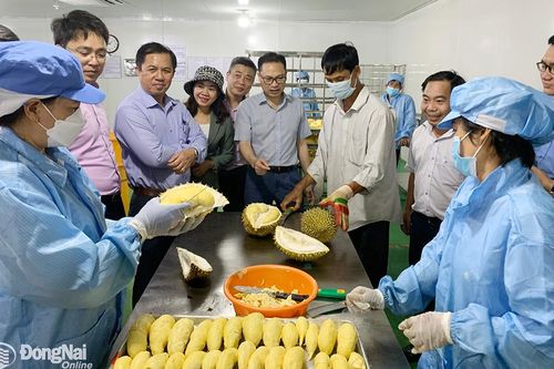 Xuân Lộc, mốc son xây dựng nông thôn mới